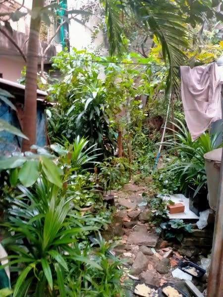 TRUNG TÂM TÂN BÌNH – LẠC LONG QUÂN - 2MT HẺM LỚN– 188M2. - Ảnh 2